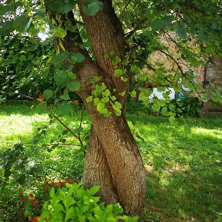 Apartmán Claudia Toscana - Melograno -10 Min Da Siena