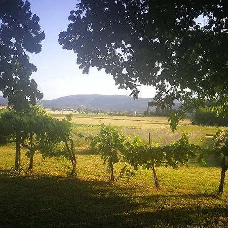 Claudia Toscana - Melograno -10 Min Da Siena Apartmán