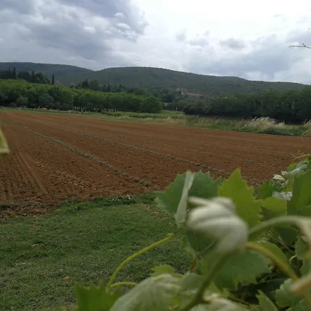 Claudia Toscana - Melograno -10 Min Da Siena 아파트 *