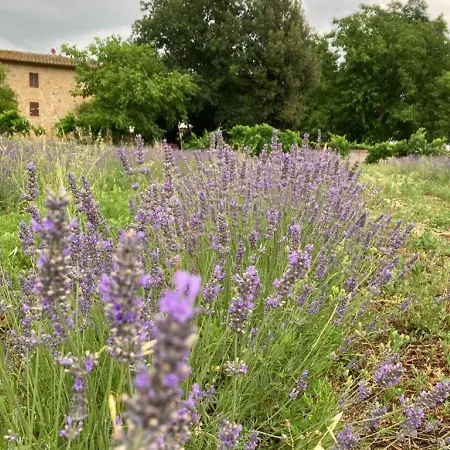 Claudia Toscana - Melograno -10 Min Da Siena Sovicille