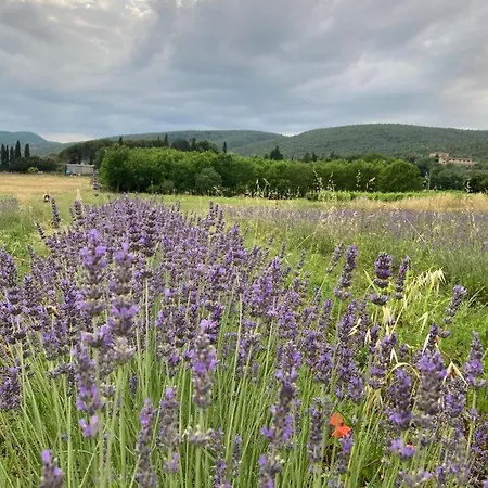 Claudia Toscana - Melograno -10 Min Da Siena * Sovicille